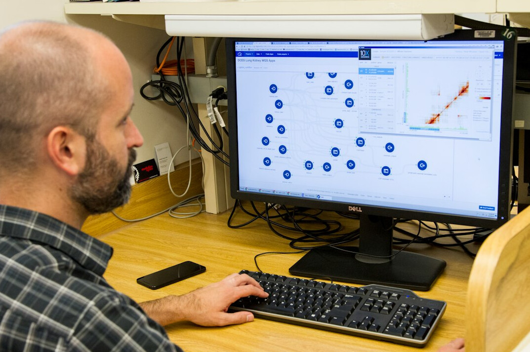 researcher analyzing data